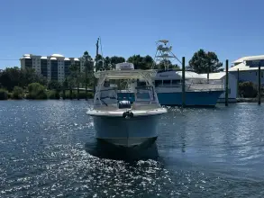 Thumbnail von Grady White Freedom 235