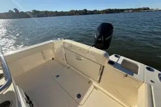 Thumbnail von Scout 240 XSF