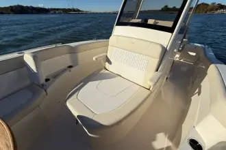 Thumbnail von Scout 240 XSF