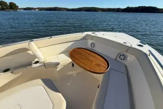 Thumbnail von Scout 240 XSF