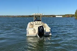 Thumbnail von Scout 240 XSF