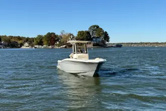 Thumbnail von Scout 240 XSF