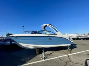 Sea Ray SDX 250 Outboard