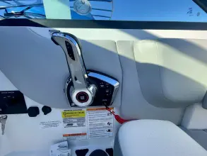 Thumbnail von Sea Ray SDX 250 Hors-bord