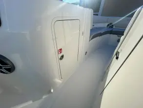 Thumbnail von Sea Ray SDX 250 Hors-bord