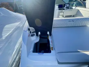 Thumbnail von Sea Ray SDX 250 Hors-bord