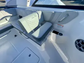 Thumbnail von Sea Ray SDX 250 Hors-bord