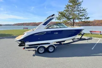 Sea Ray SDX 230