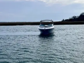 Thumbnail von シー レイ SLX 310 アウトボード