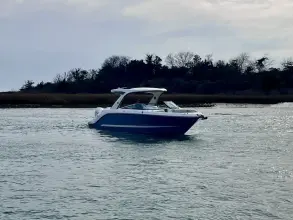 Thumbnail von シー レイ SLX 310 アウトボード