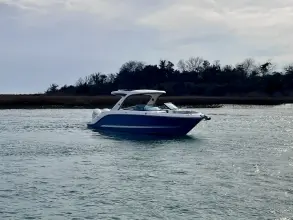 Thumbnail von シー レイ SLX 310 アウトボード