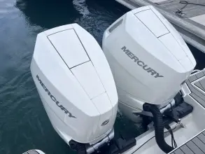 Thumbnail von シー レイ SLX 310 アウトボード