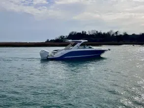 Thumbnail von シー レイ SLX 310 アウトボード