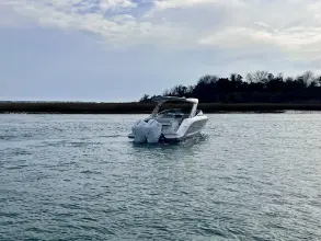 Thumbnail von シー レイ SLX 310 アウトボード