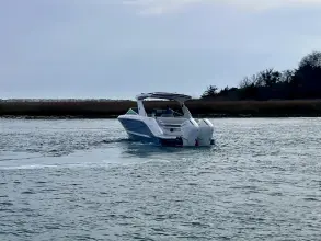 Thumbnail von シー レイ SLX 310 アウトボード