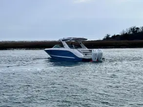 Thumbnail von シー レイ SLX 310 アウトボード