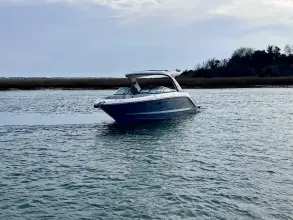 Thumbnail von シー レイ SLX 310 アウトボード