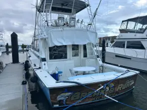 Thumbnail von Bertram 46