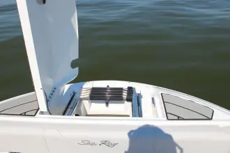 Thumbnail von Sea Ray SDX 250 Außenborder