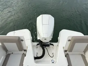 Thumbnail von ボストン・ホエラー 210 バンテージ