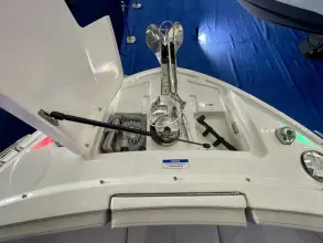 Thumbnail von Sea Ray SLX 310 Outboard