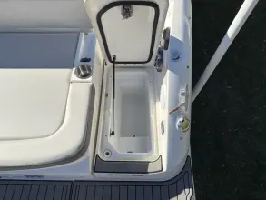 Thumbnail von Sea Ray SDX 250