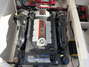 Thumbnail von Sea Ray SDX 250