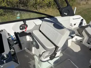 Thumbnail von Sea Ray SDX 250