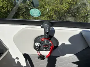 Thumbnail von Sea Ray SDX 250