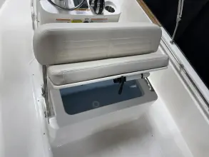 Thumbnail von Boston Whaler 170 Montauk
