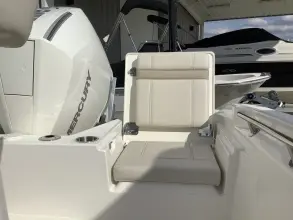 Thumbnail von Boston Whaler 220 Dauntless