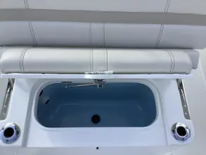 Thumbnail von Boston Whaler 220 Dauntless