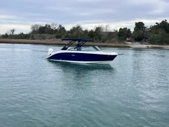 Sea Ray SDX 250 Hors-bord