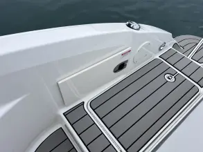 Thumbnail von Sea Ray SDX 250 Dıştan Takma Motor