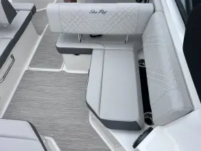 Thumbnail von Sea Ray SDX 250 Dıştan Takma Motor