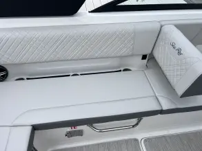 Thumbnail von Sea Ray SDX 250 Dıştan Takma Motor
