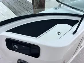 Thumbnail von Sea Ray SDX 250 Dıştan Takma Motor