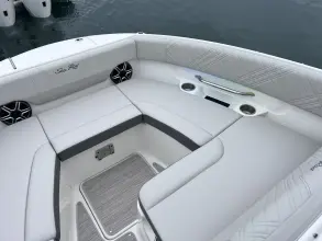 Thumbnail von Sea Ray SDX 250 Dıştan Takma Motor