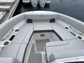 Thumbnail von Sea Ray SDX 250 Dıştan Takma Motor