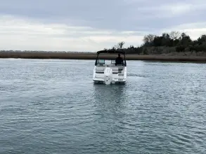 Thumbnail von Sea Ray SDX 250 Dıştan Takma Motor