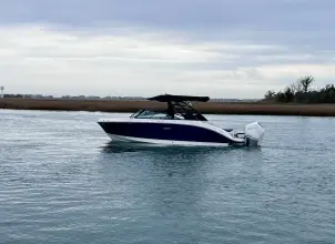 Thumbnail von Sea Ray SDX 250 Dıştan Takma Motor