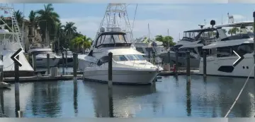 Thumbnail von Sea Ray 42 Sedan Köprü Enerjisi
