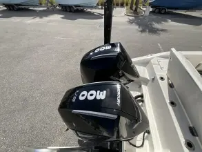 Thumbnail von Boston Whaler 280 Dauntless