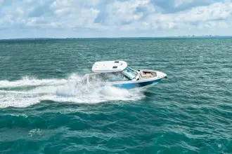 Thumbnail von Boston Whaler 330 Vantage