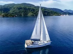 Thumbnail von Jeanneau Sun Odyssey 479 SKY SELIN