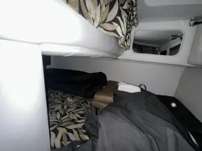 Thumbnail von Crownline 264 CR