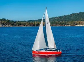 Thumbnail von Moody DS 41 BEZ JMÉNA