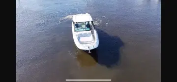 Thumbnail von Sea Ray 320 Sundancer Außenborder