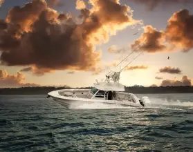 Thumbnail von Boston Whaler 380 Outrage