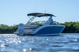 Thumbnail von Sea Ray SDX 270 Dıştan Takma Motor